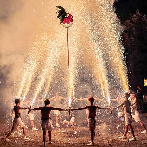日本の祭りInstagramフォトコンテスト｜ダイドーグループ