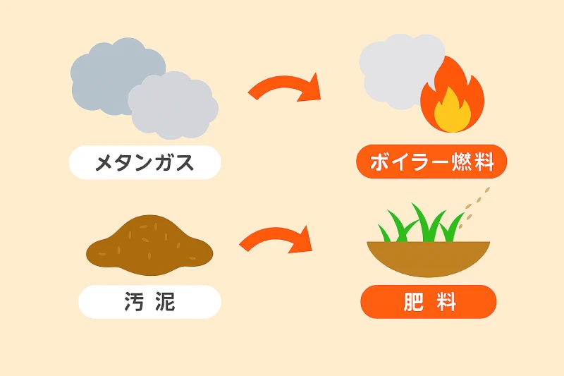 排水処理工程における再利用